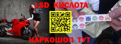 сатива Кунгур